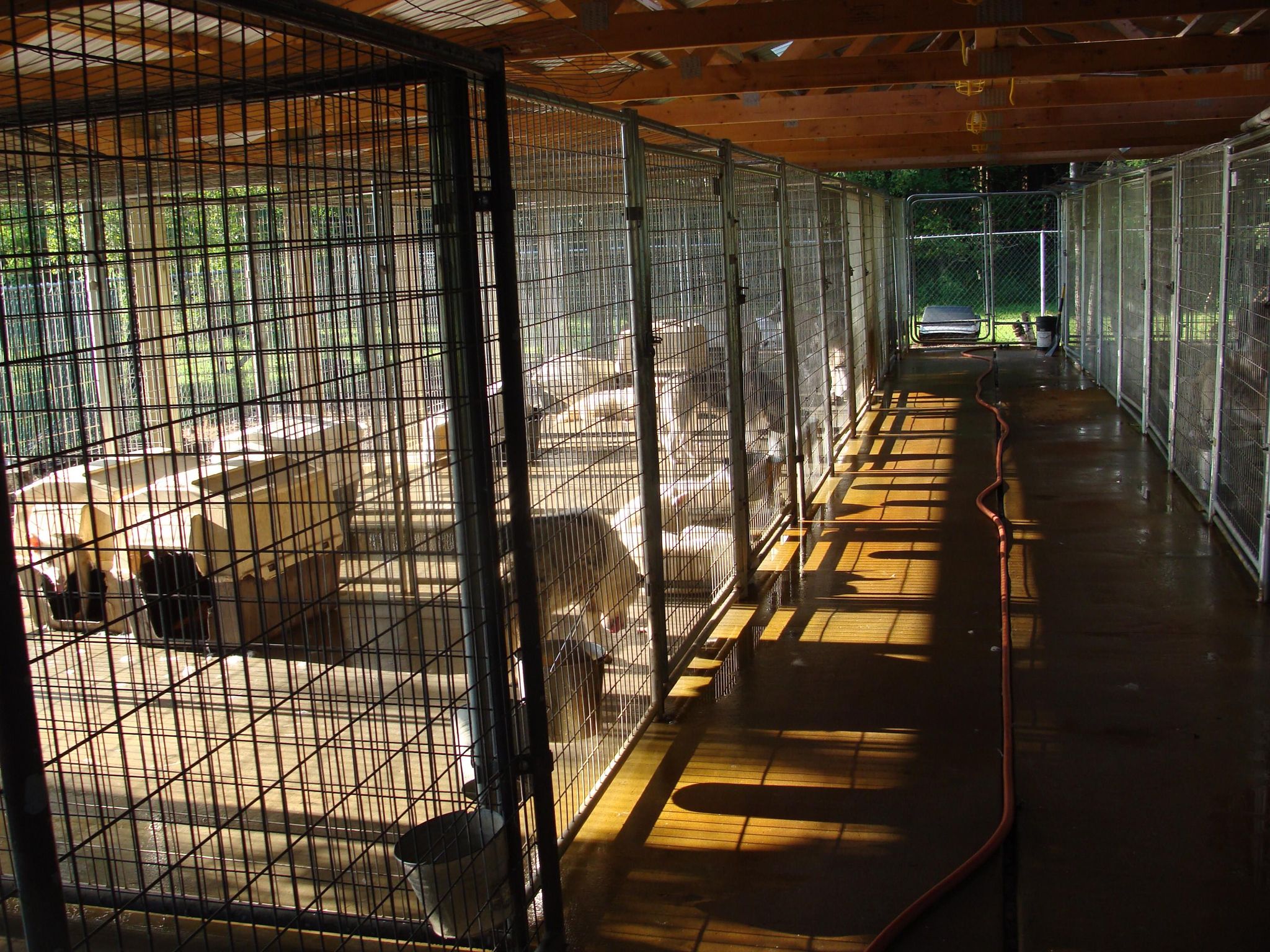 Outdoor Kennels