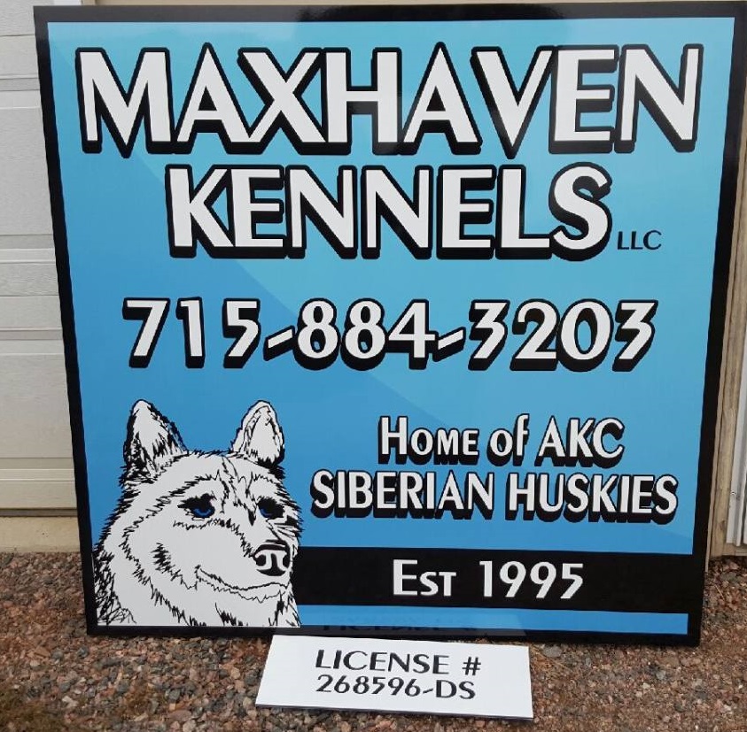 Akc huskies cheap for sale